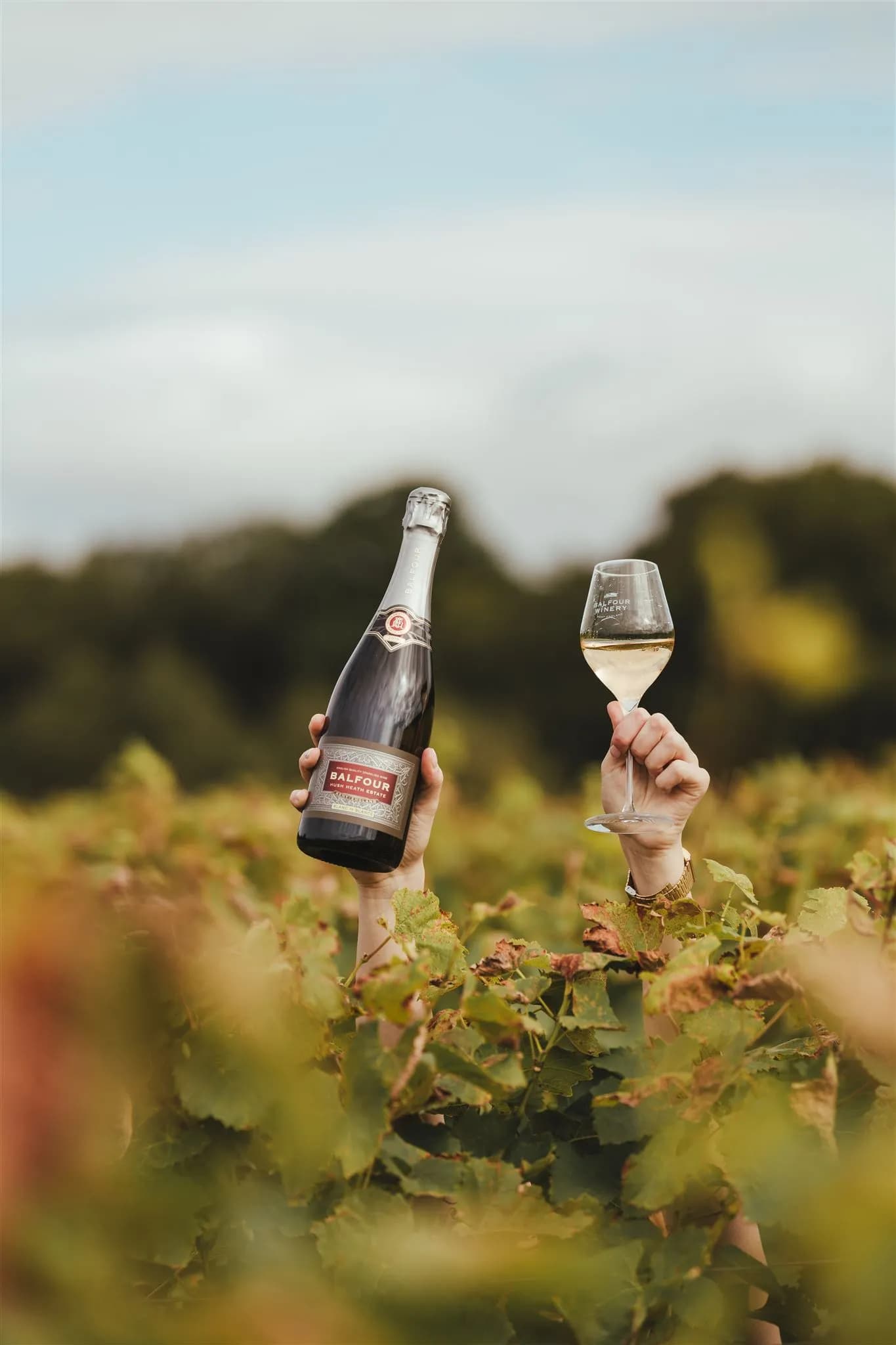 Balfour Blanc de Blancs 2018