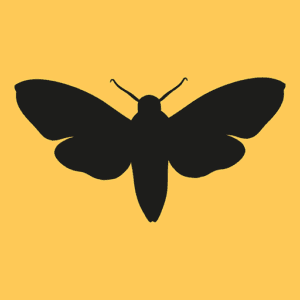 Beermoth