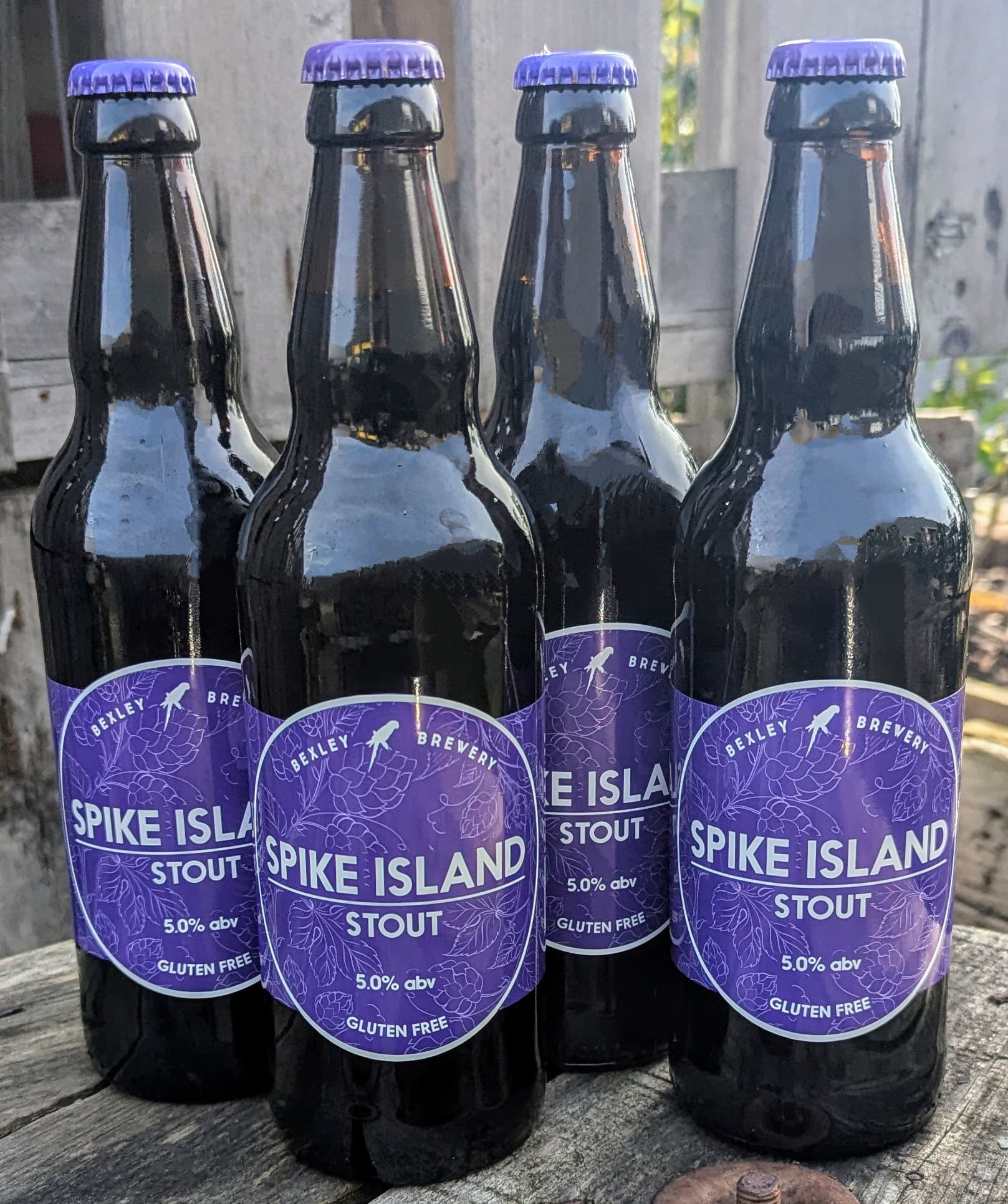 *AWARD WINNING* ‘SPIKE ISLAND’ STOUT