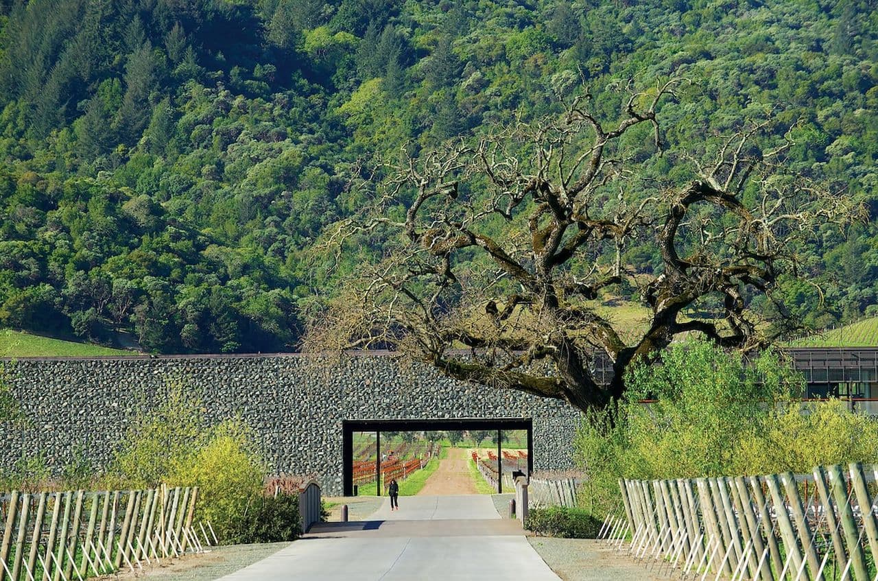 Which Napa Cabernet 2023 should I drink and when?