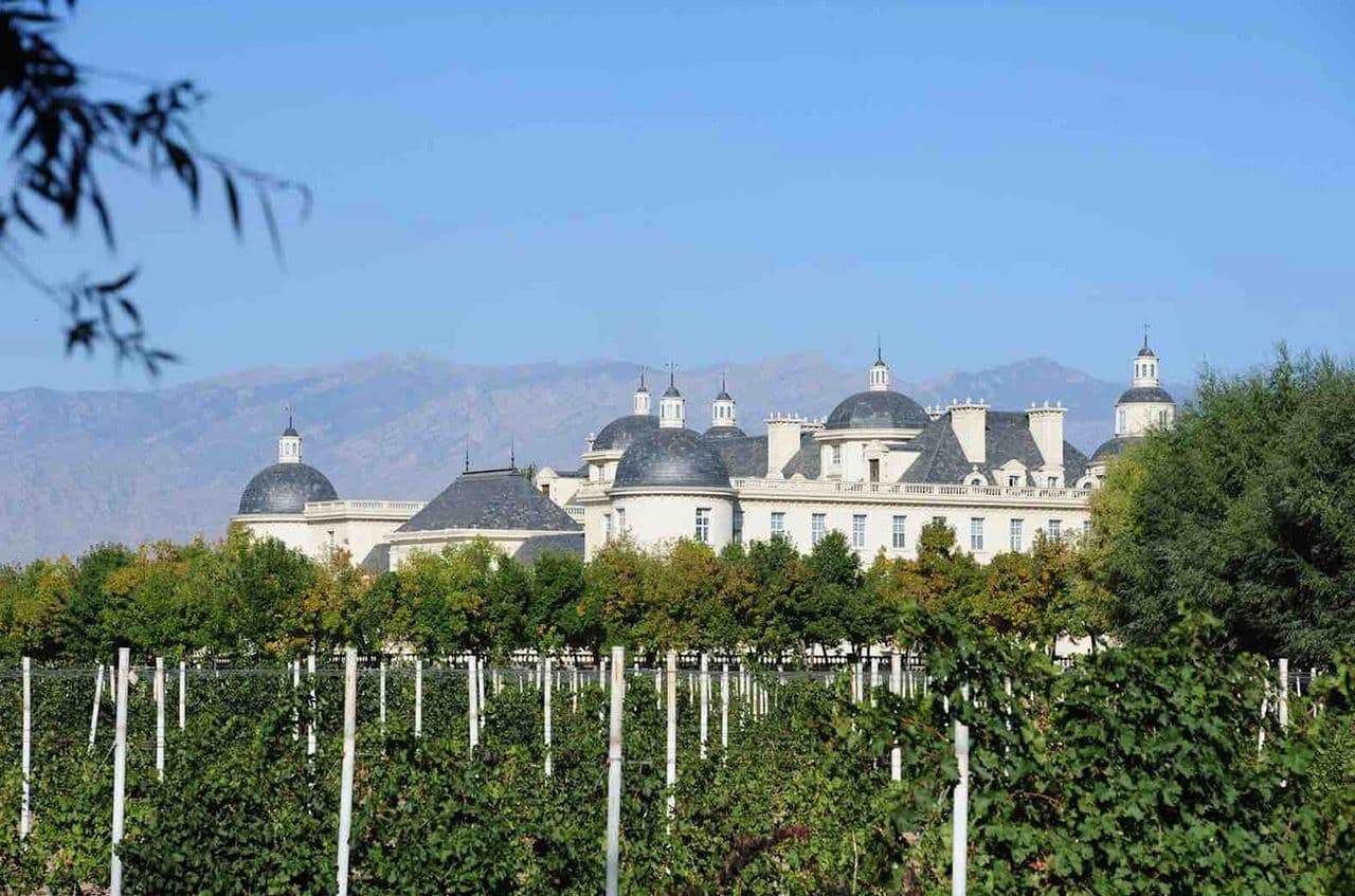 New Discoveries: China & Japan's top DWWA picks