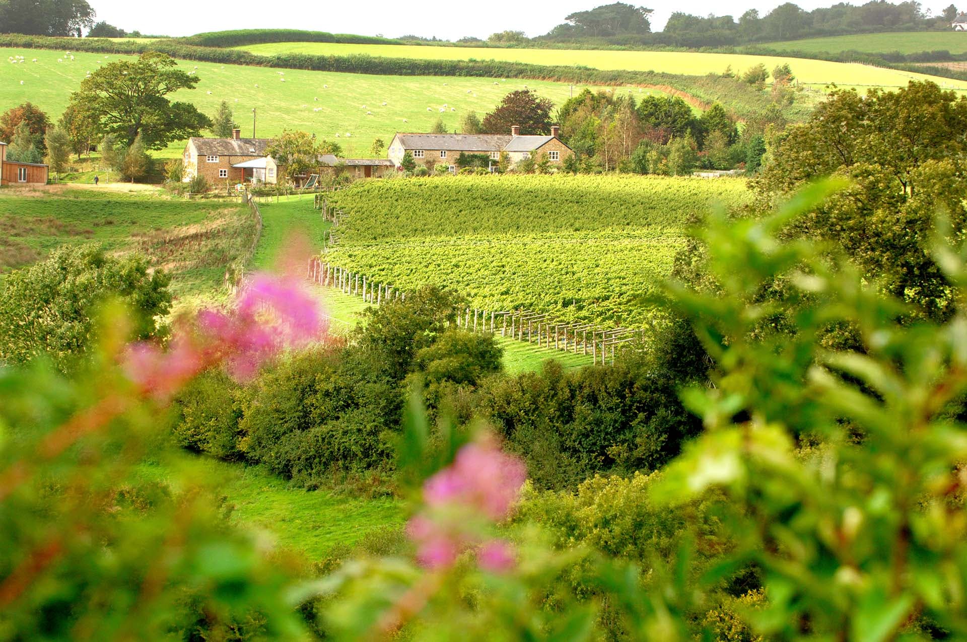 Furleigh Estate