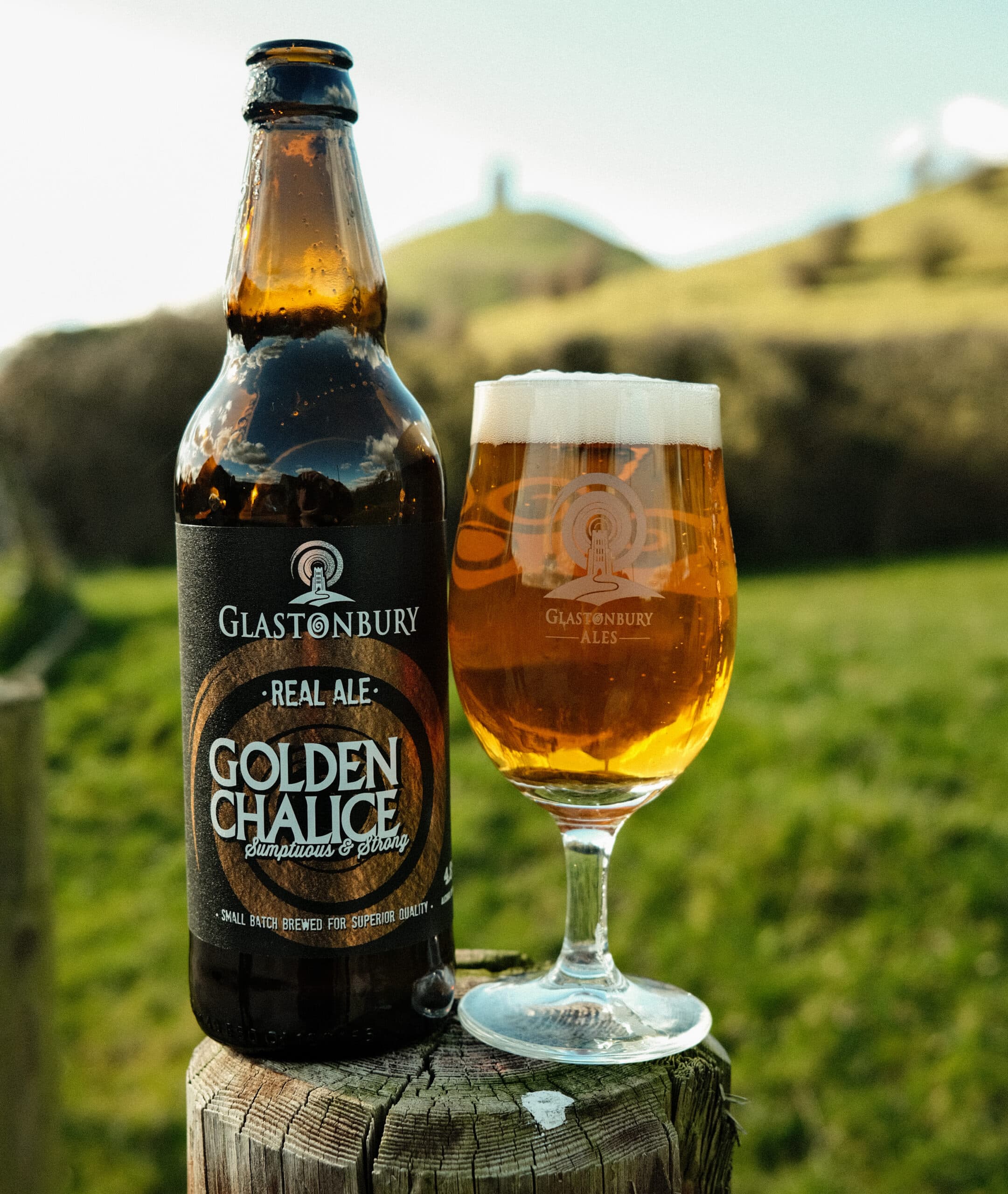 12 x Golden Chalice