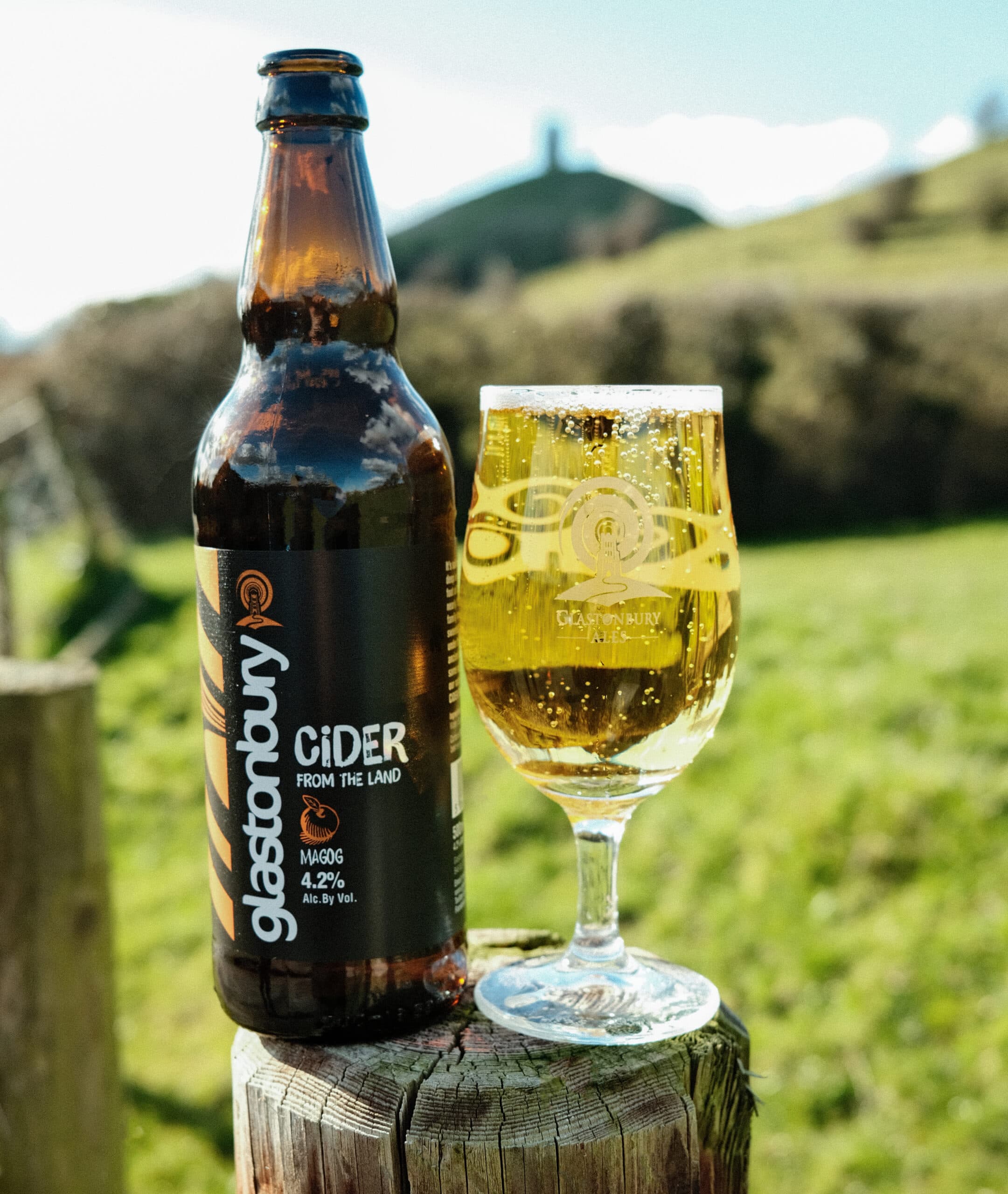 12 x Magog Cider