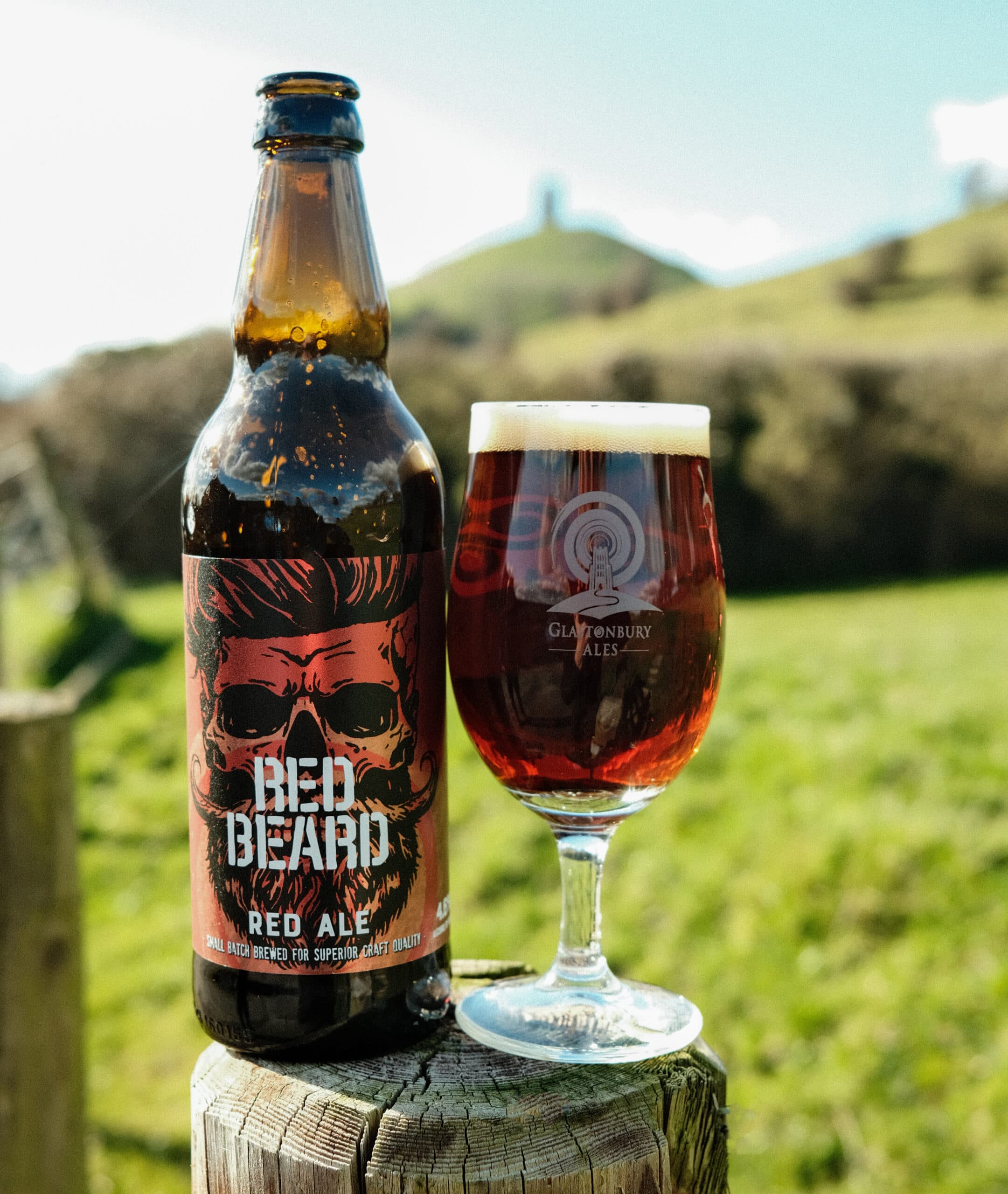 12 x Red Beard