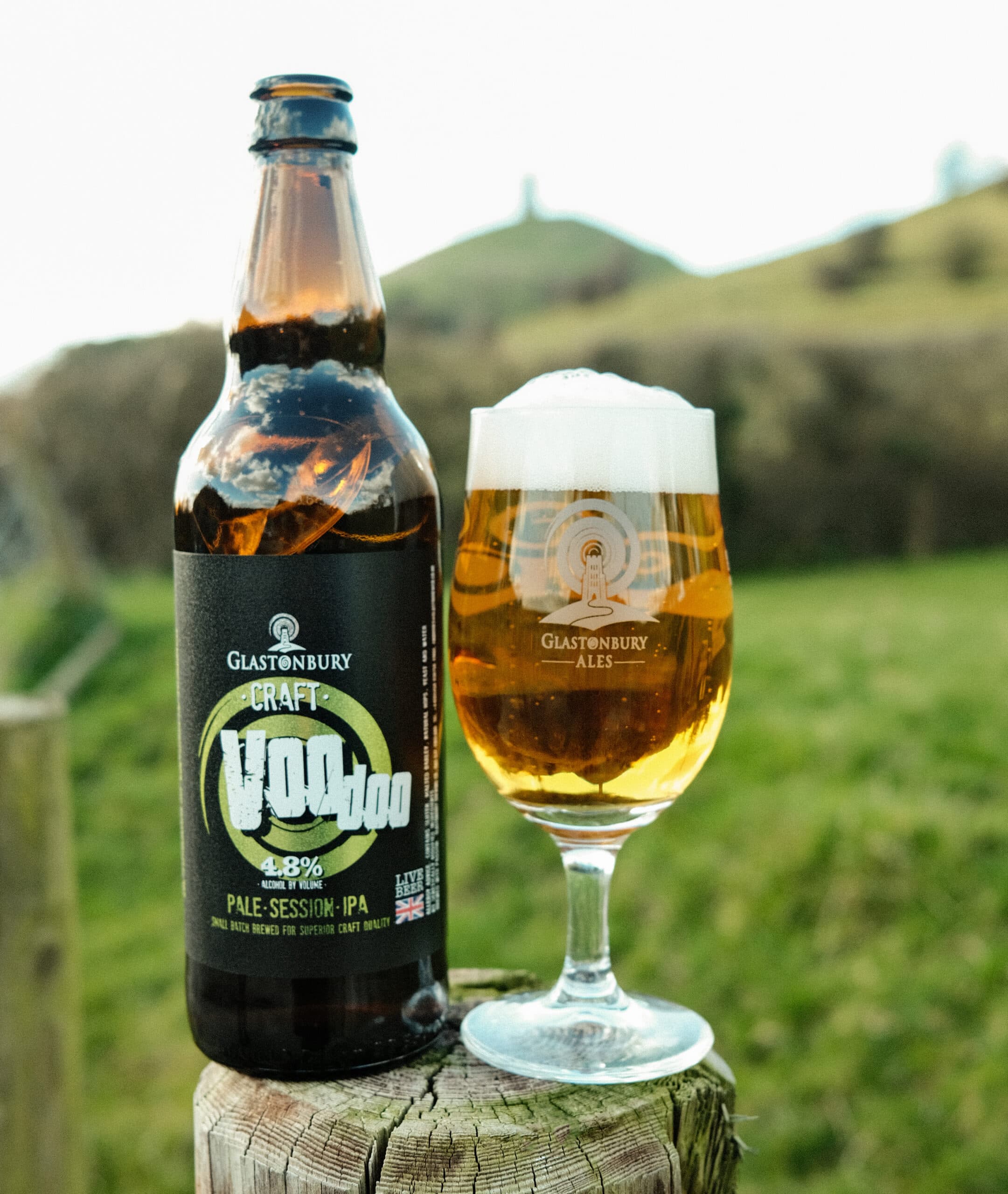 12 x Voodoo IPA