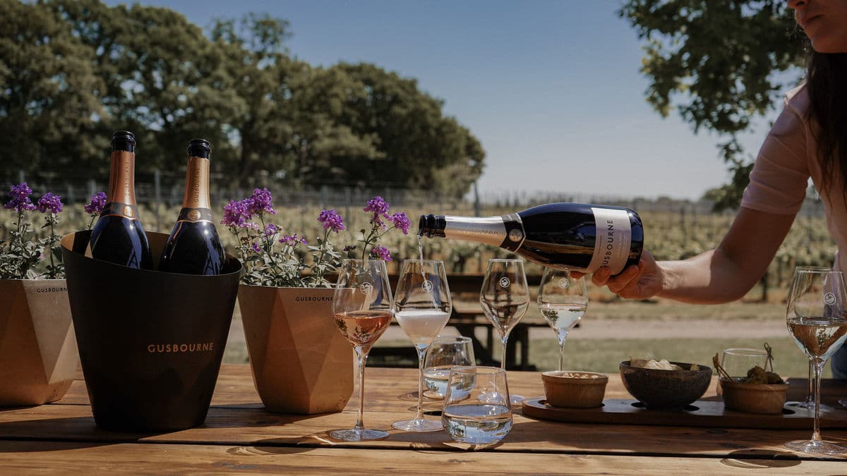 Summer at our cellar door: late opening, sharing platters and more