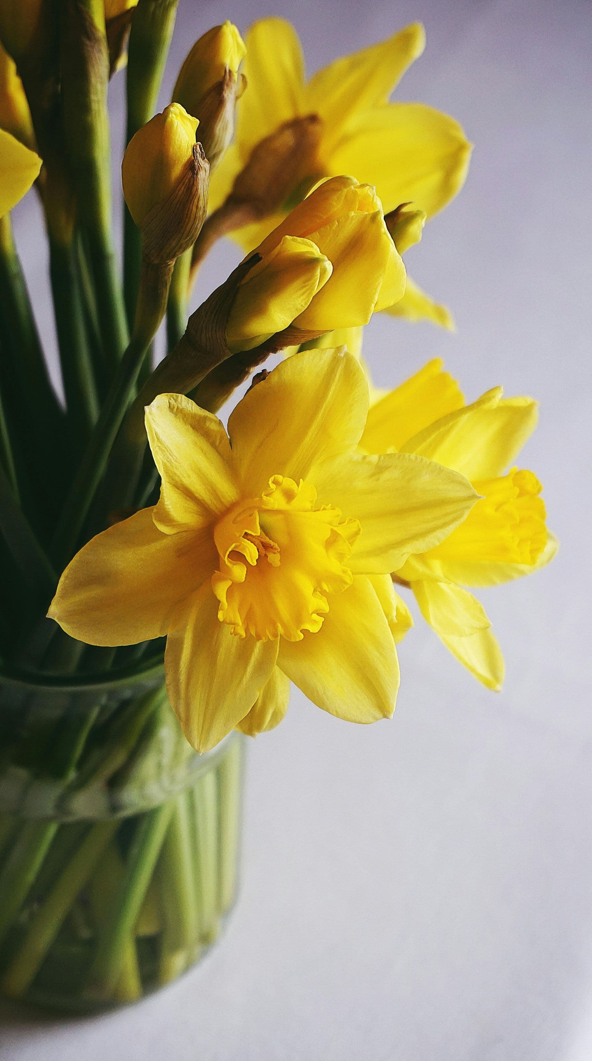Spring in the vineyard: New growth, new promise