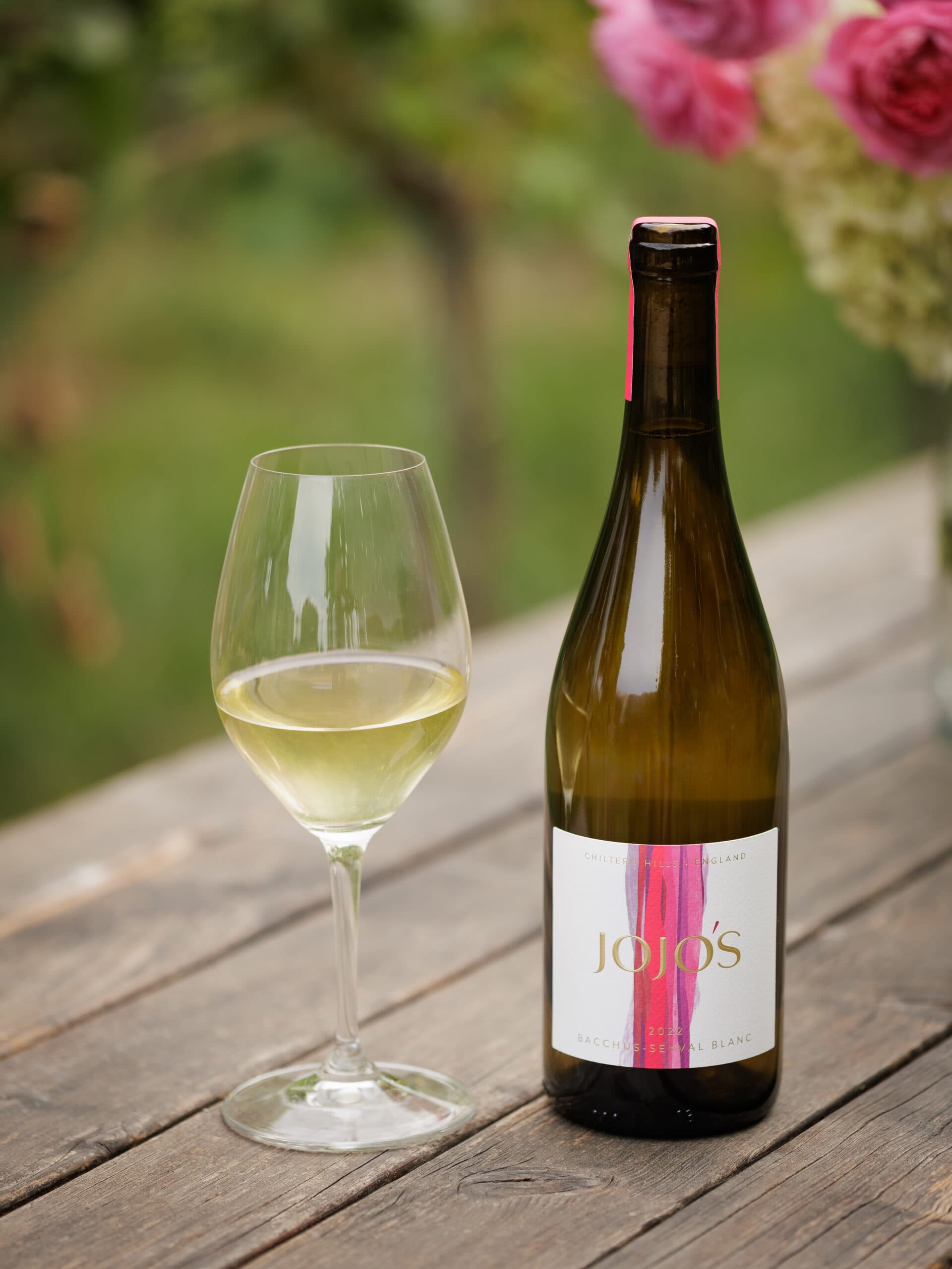 1 btl – Bacchus / Seyval-22
