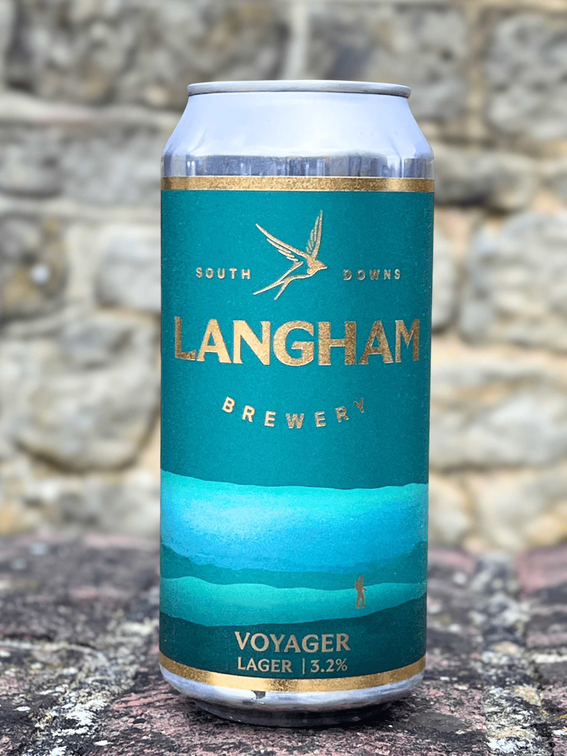 Voyager Case