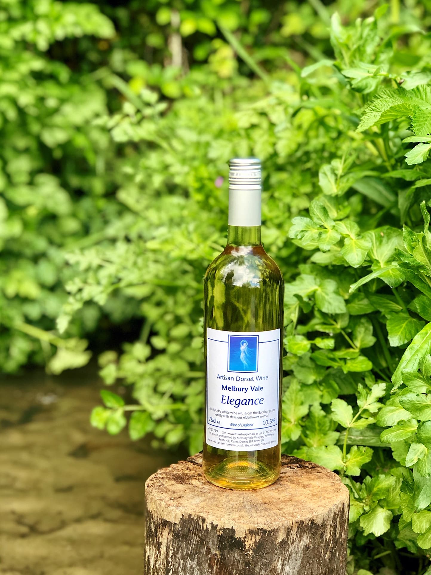 Elegance (Still Wine)
