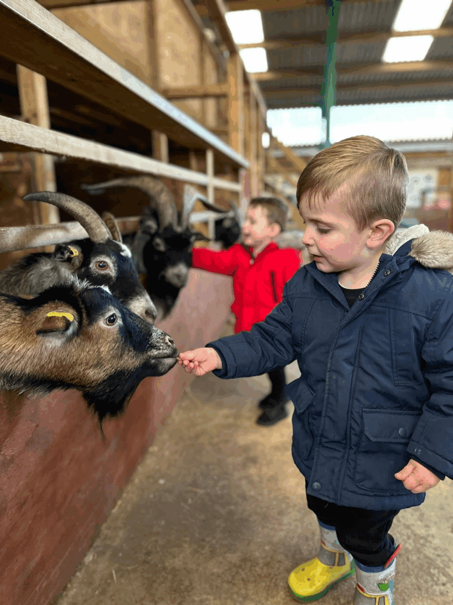 Roves Farm Shop