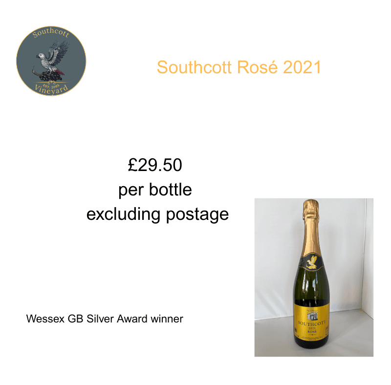 New Southcott Rose