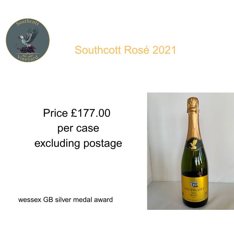 New Southcott Rose