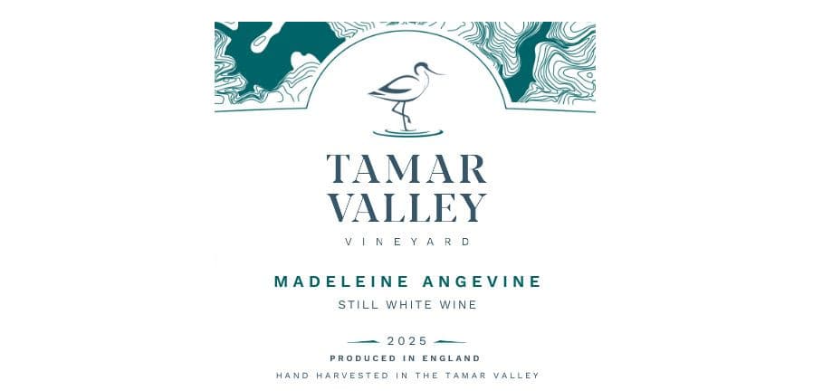 NEW RELEASE Madeleine Angevine 2025 – Still White Wine