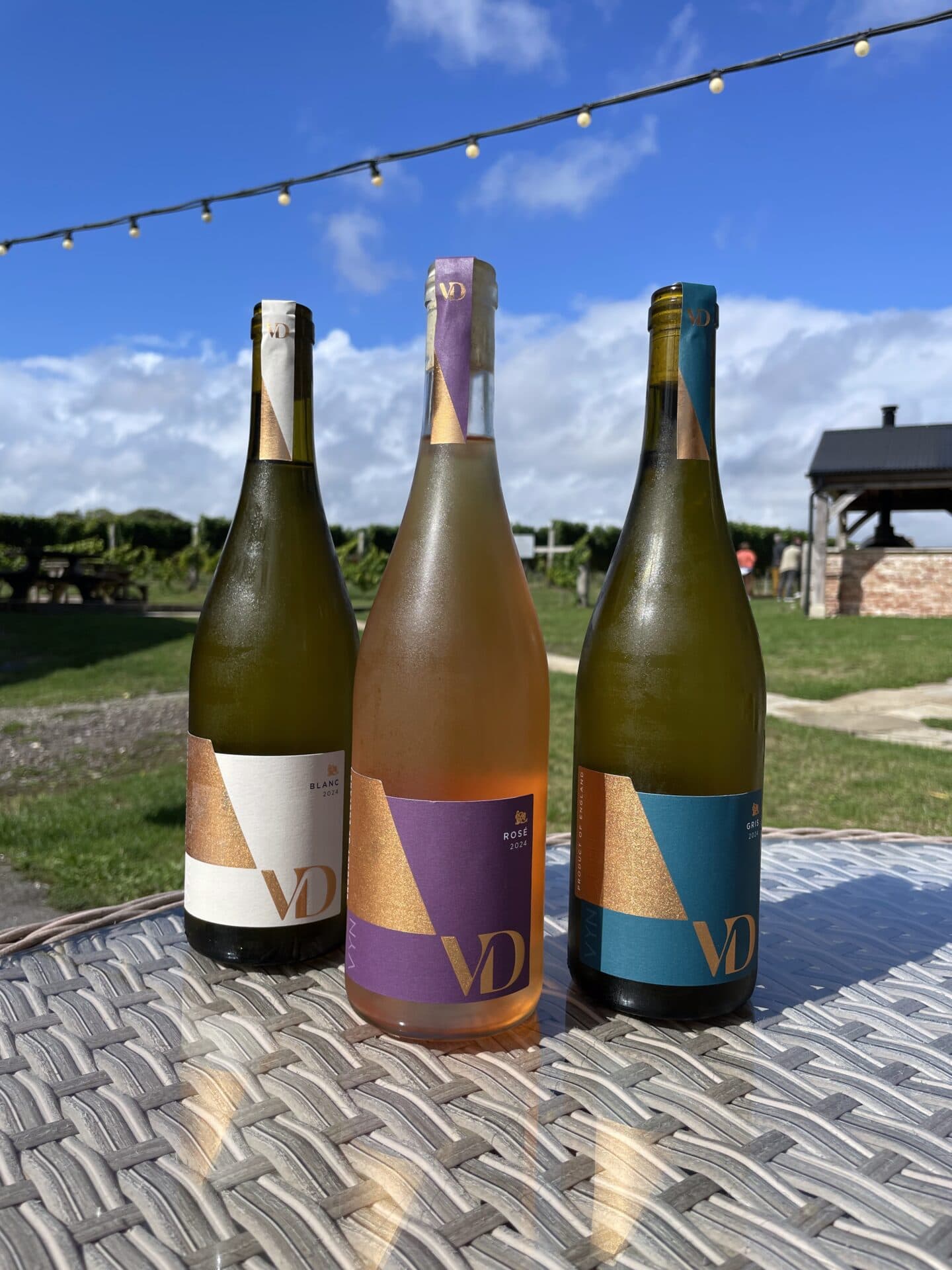 Vyn Dene Launch Event