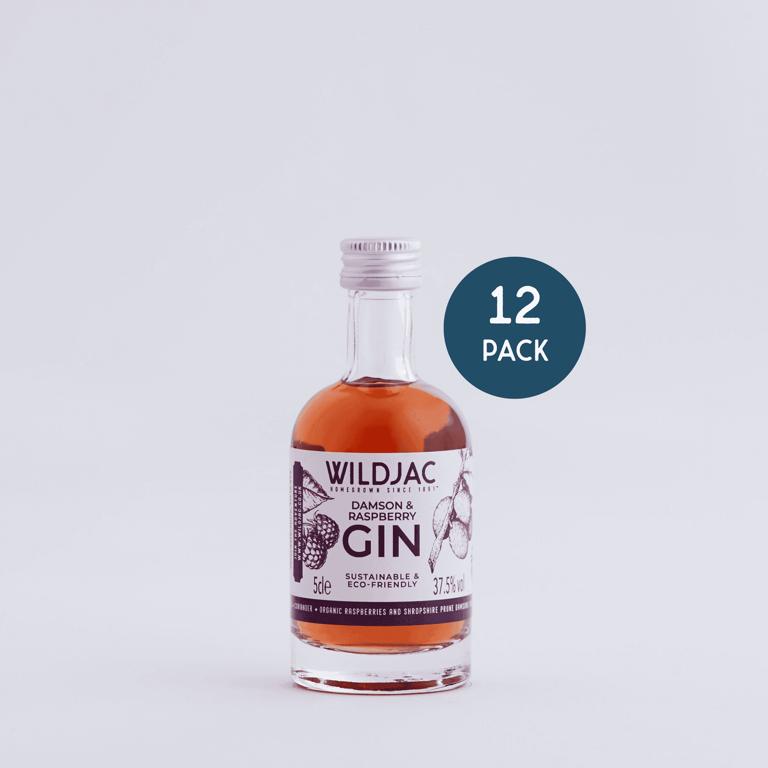 Damson and Raspberry Gin 12x 5cl Miniatures