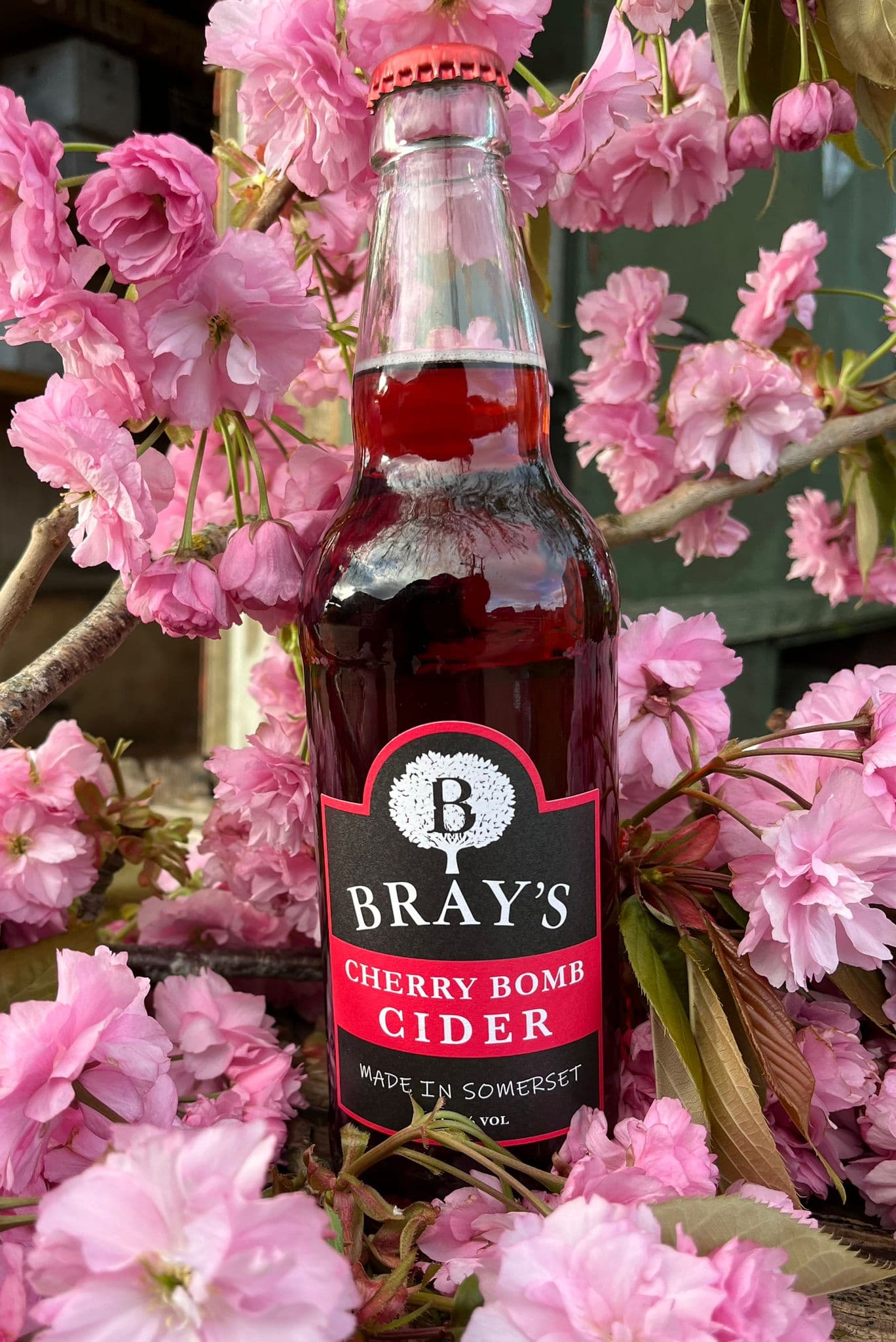 Bray’s Cherry Bomb Cider -12 x 500ml Bottles