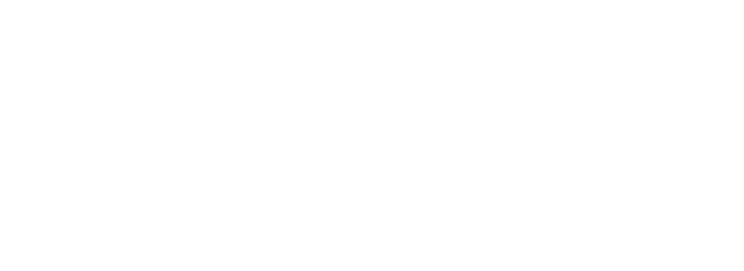 Conker Spirit
