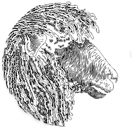 Cotswold Lion