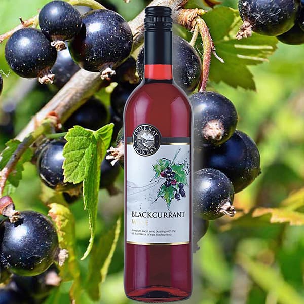 Blackcurrant Wine – Lyme Bay