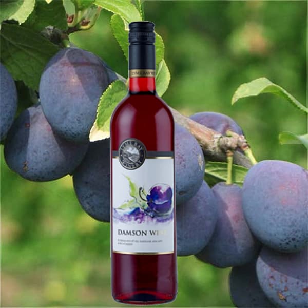 Damson Wine – Lyme Bay