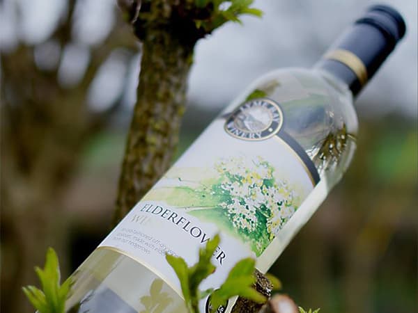 Elderflower Wine – Lyme Bay