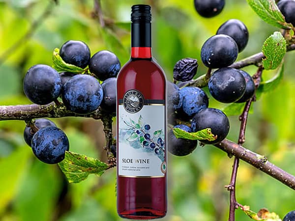 Sloe Wine – Mulled Wine
