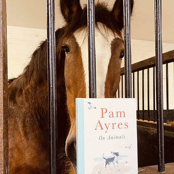 Pam Ayres on Animals