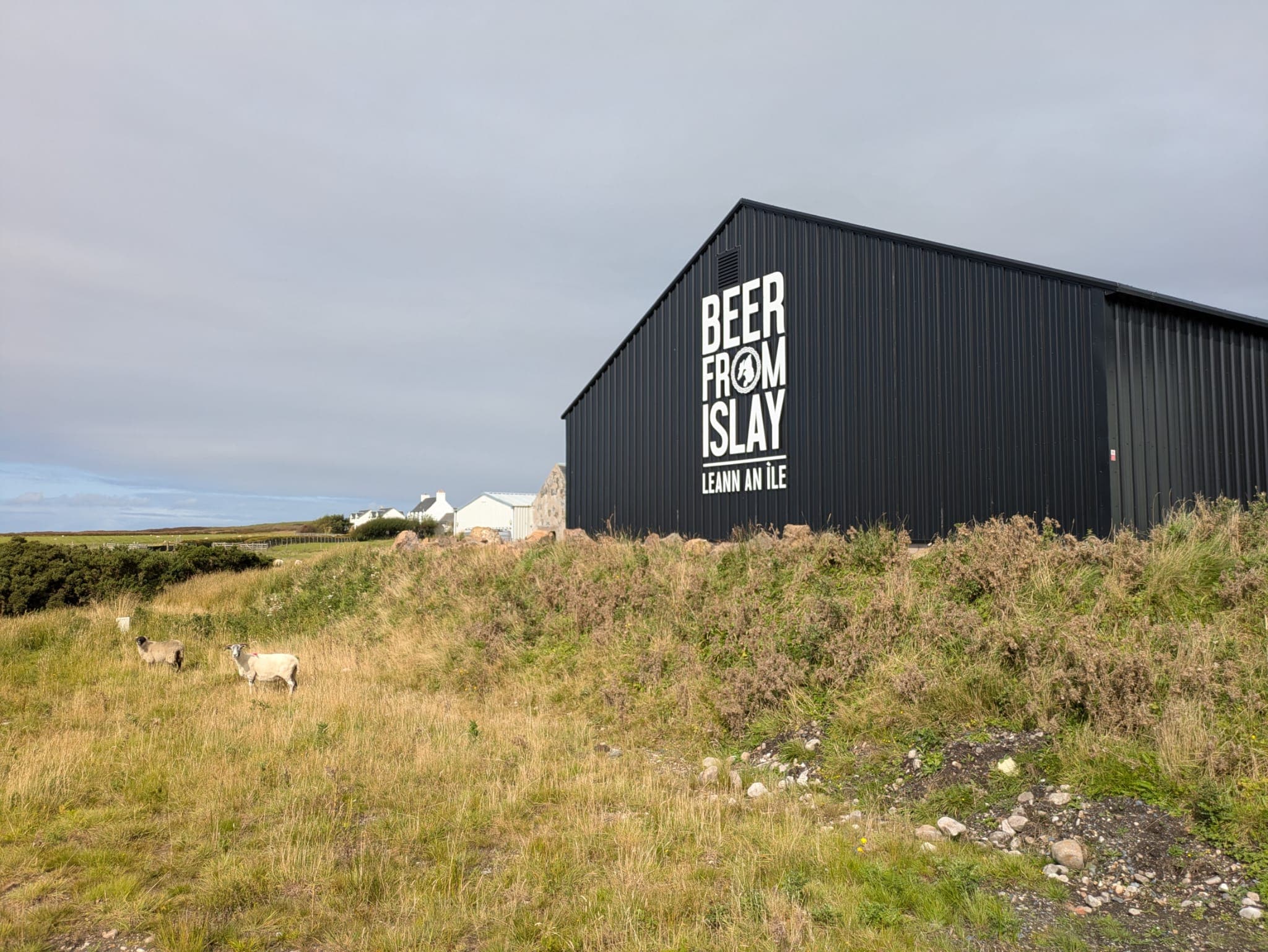 Islay Ales