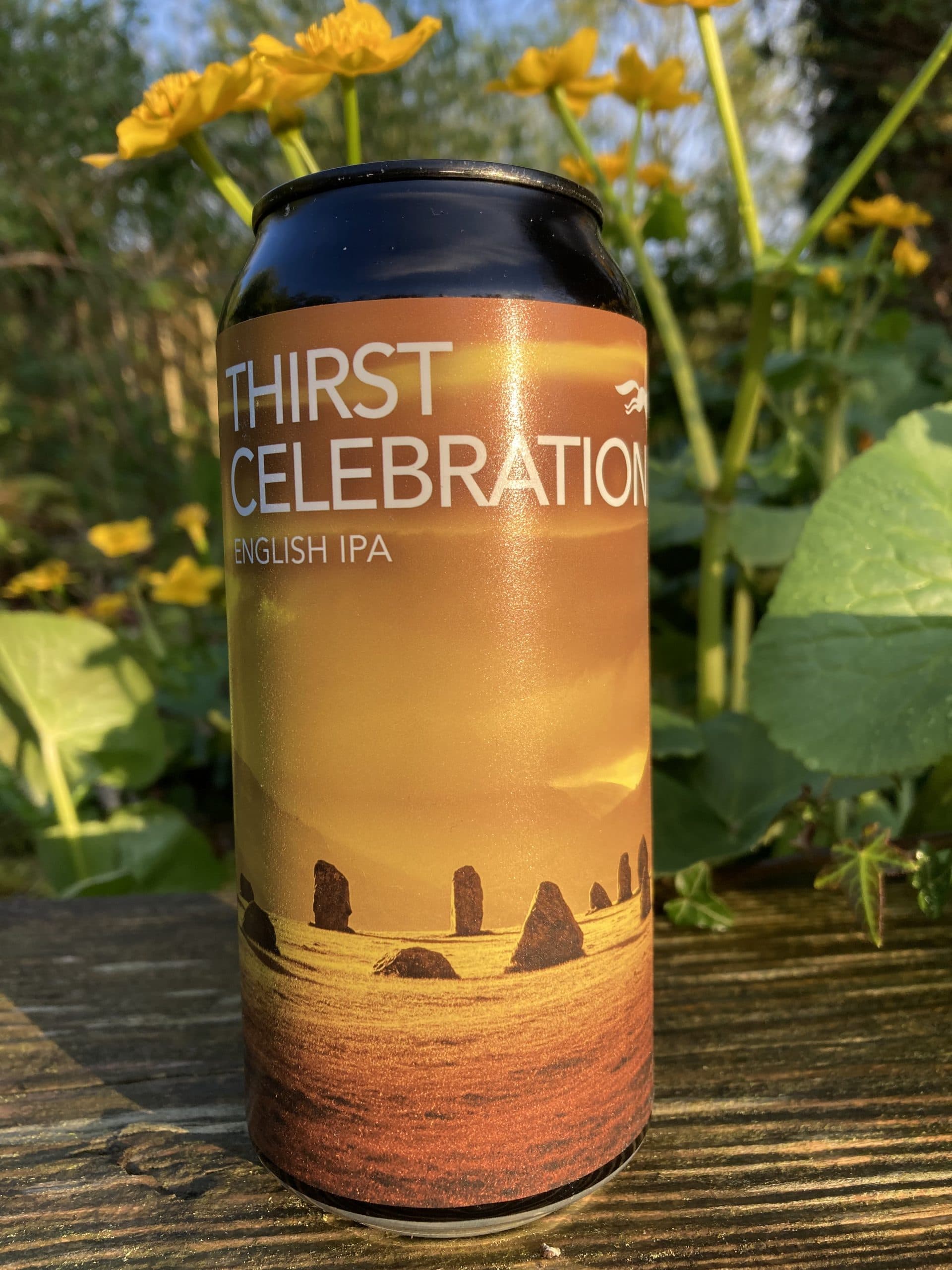 Thirst Celebration