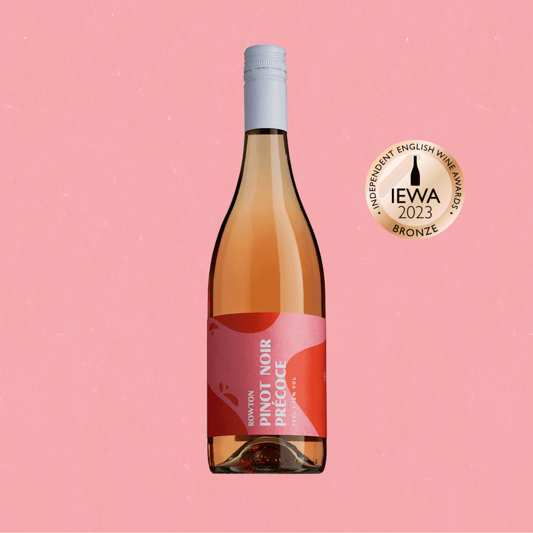 Pink Pinot Noir Précoce