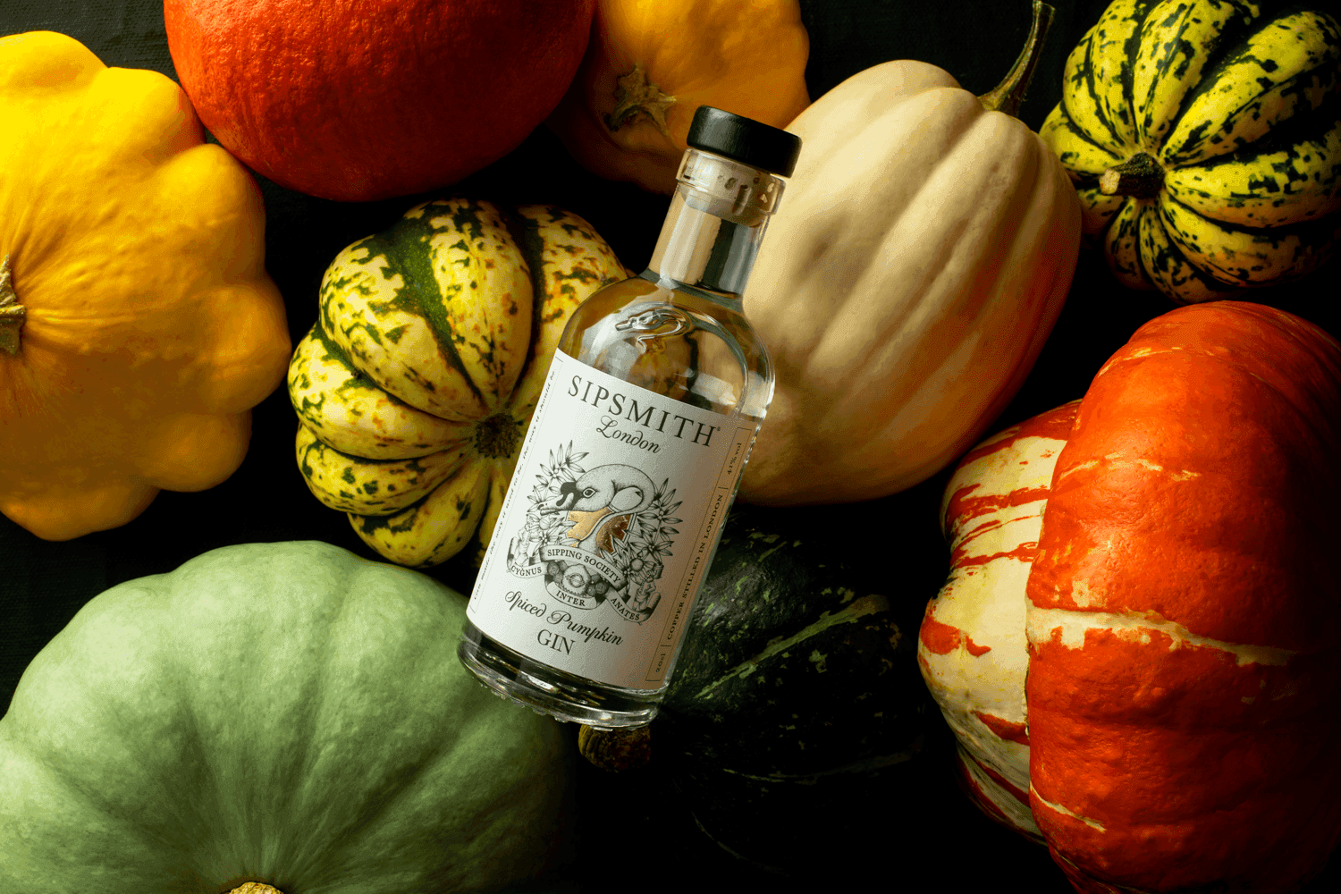 Spiced Pumpkin Gin