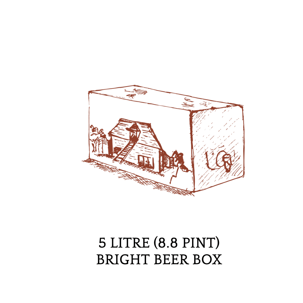 5 Litre Bright Beer Box - Selection