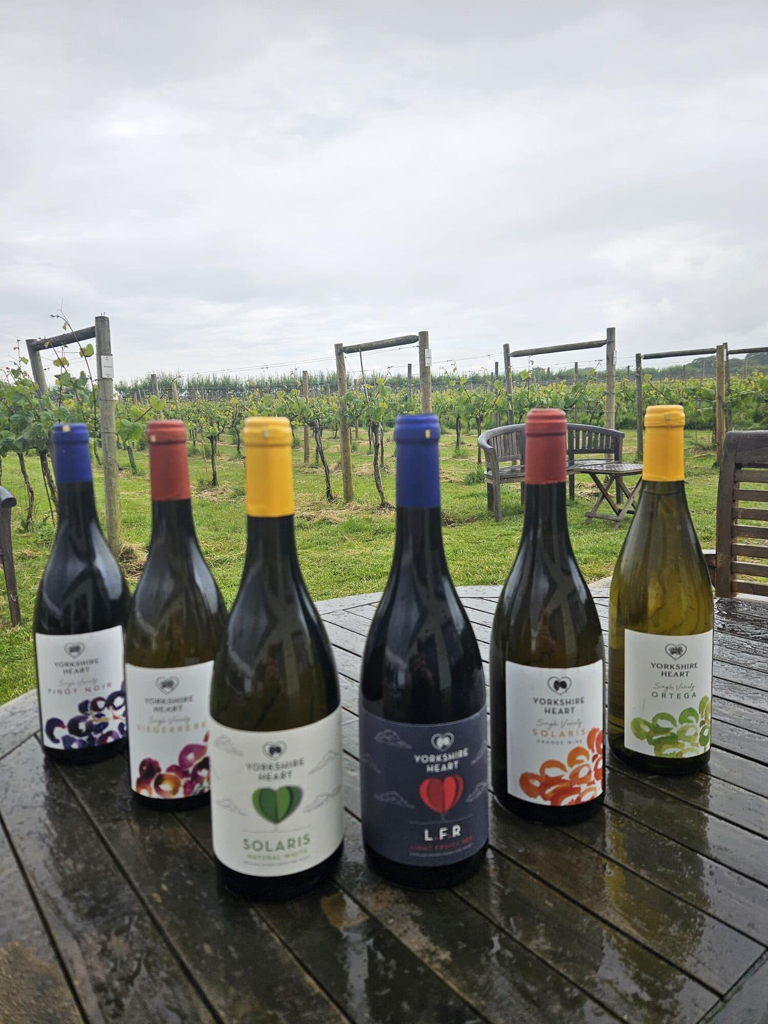 Varietal Wine 6 Bottle Case