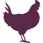 Drewtons Farm Shop