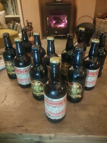 Winter Warmer case (12 X 500ml bottles)