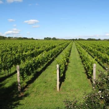 Langham Wine Estate