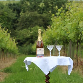 Painters Vineyard