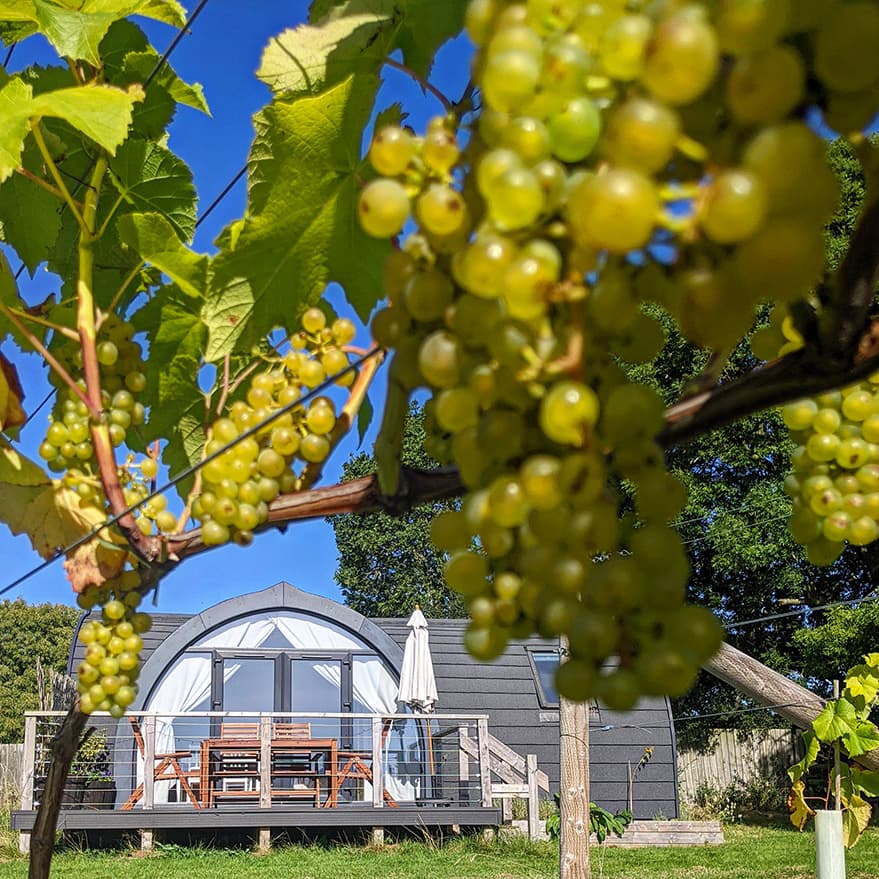 Wolds Wine Estate