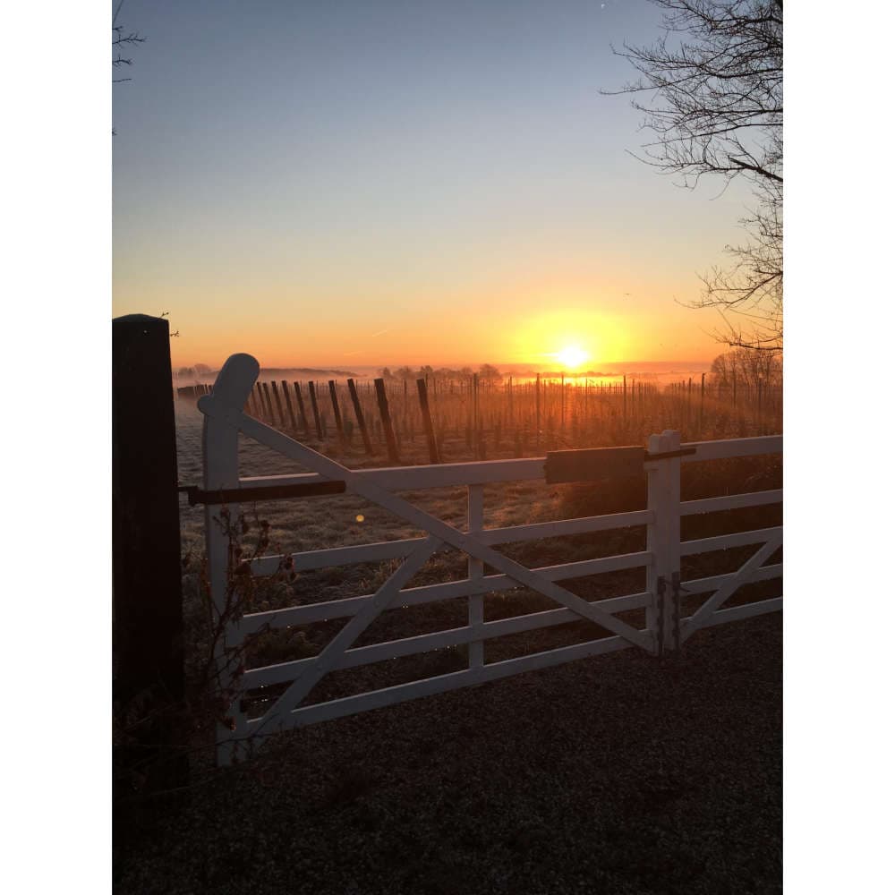 The Althorne Estate
