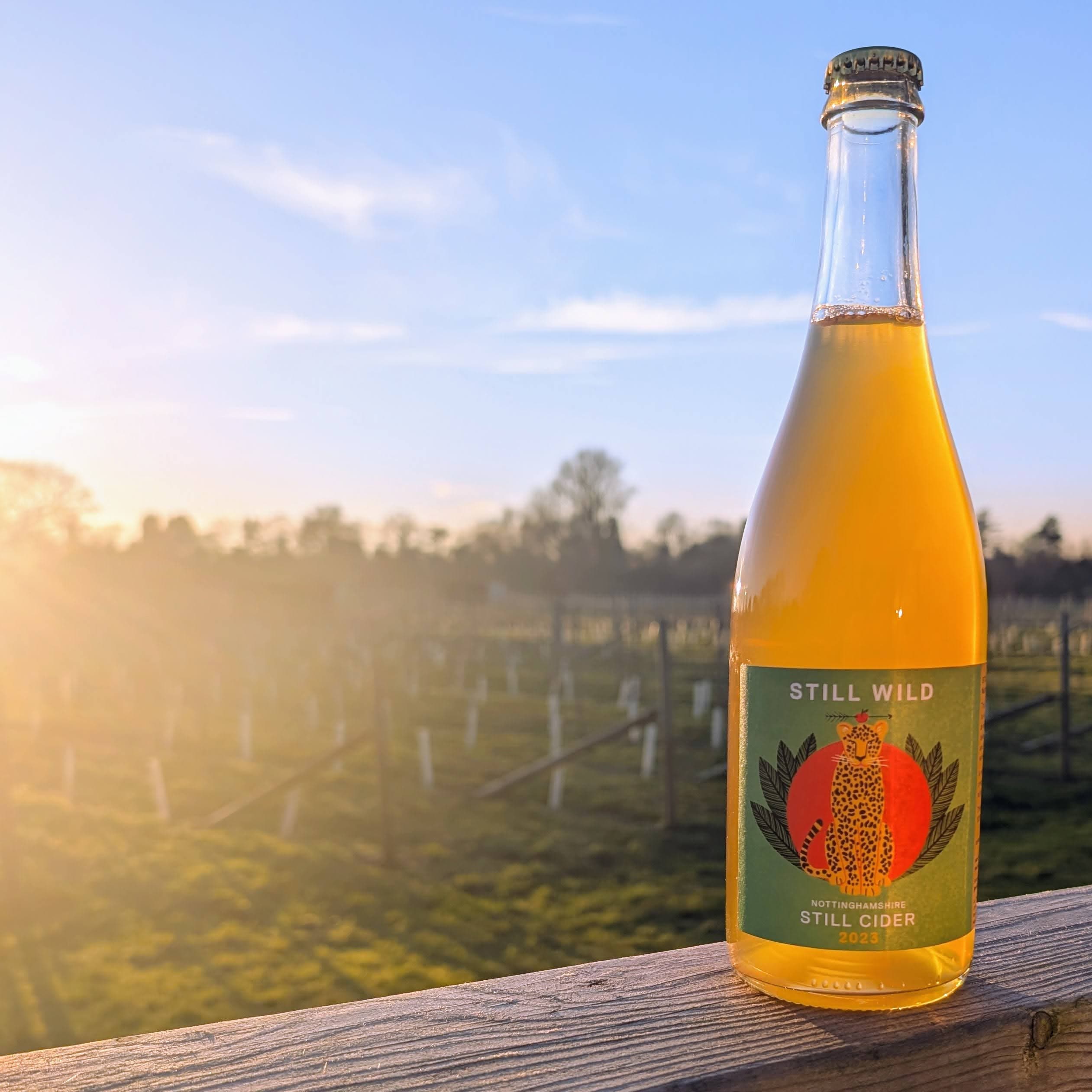 Still Wild Cider