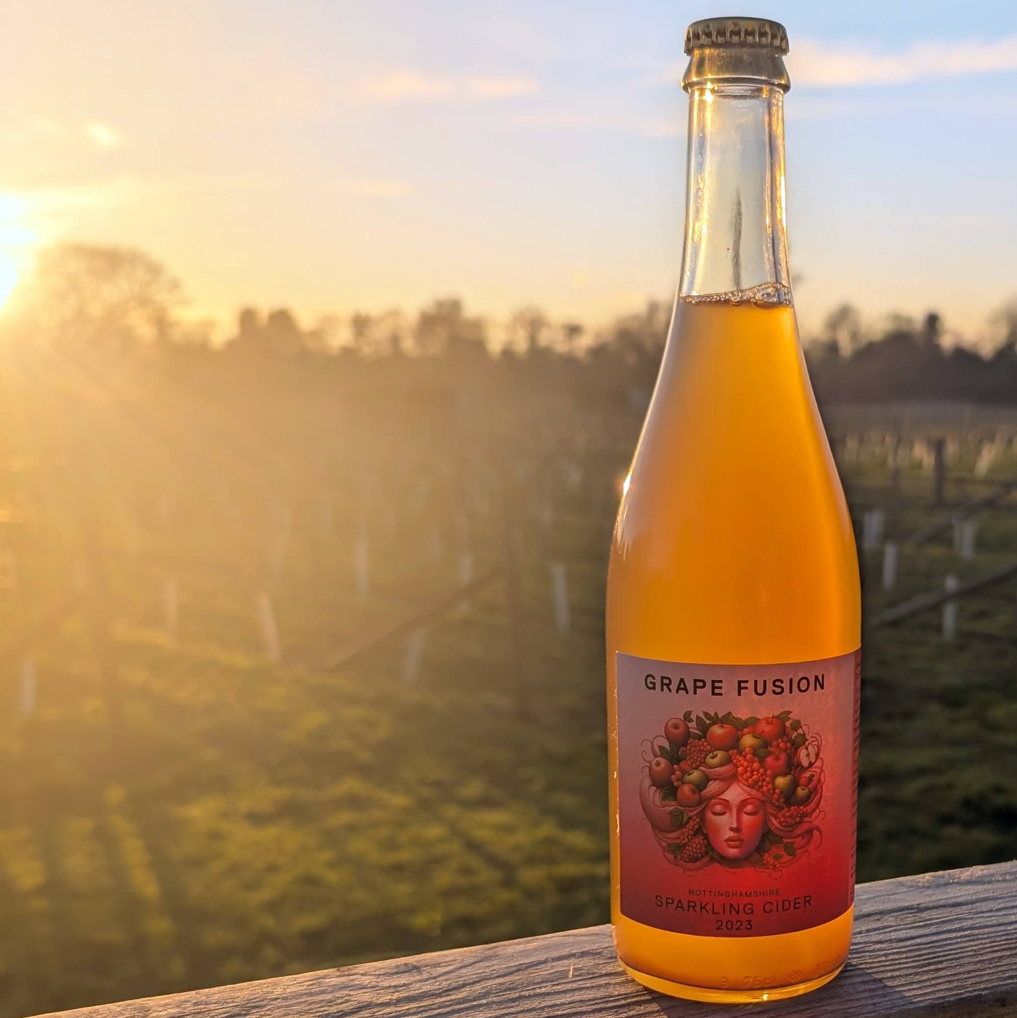 Grape Fusion Sparkling Cider