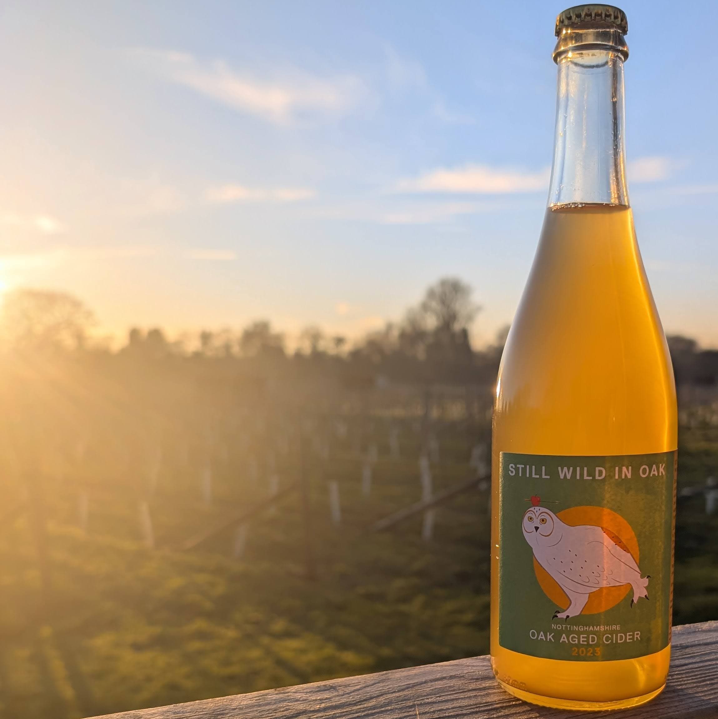 Still Wild in Oak Cider