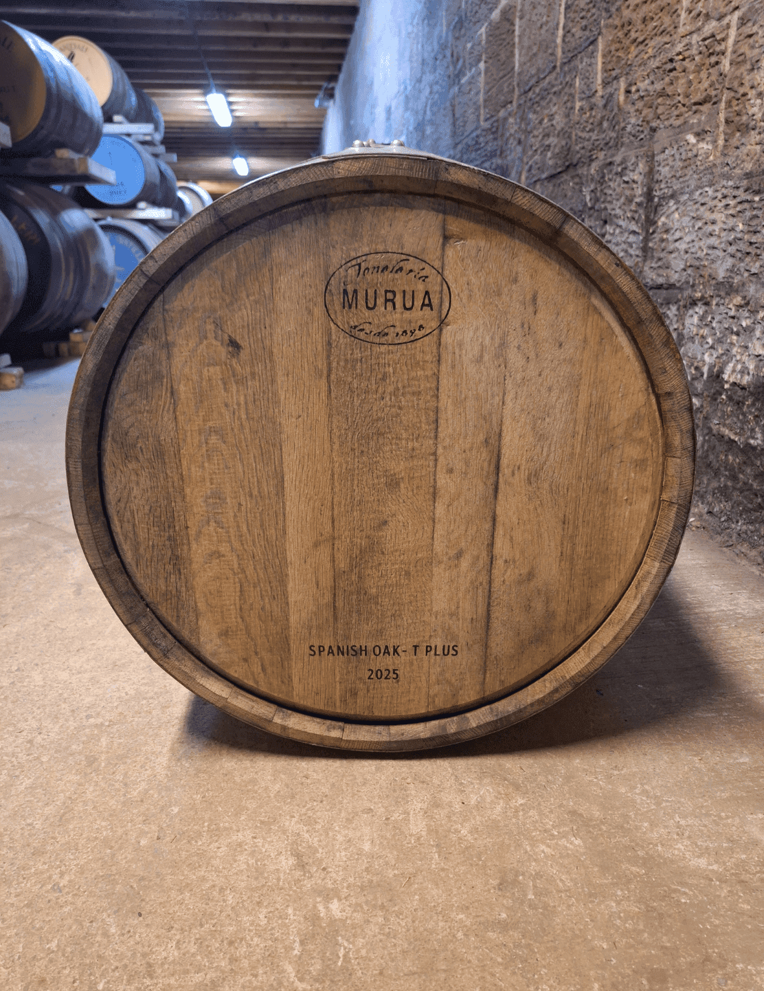 Spanish Virgin Oak