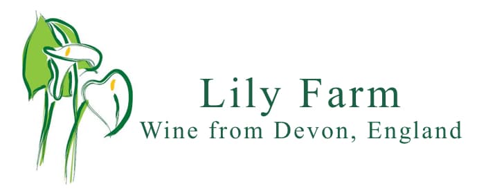 Lily Farm Vineyard